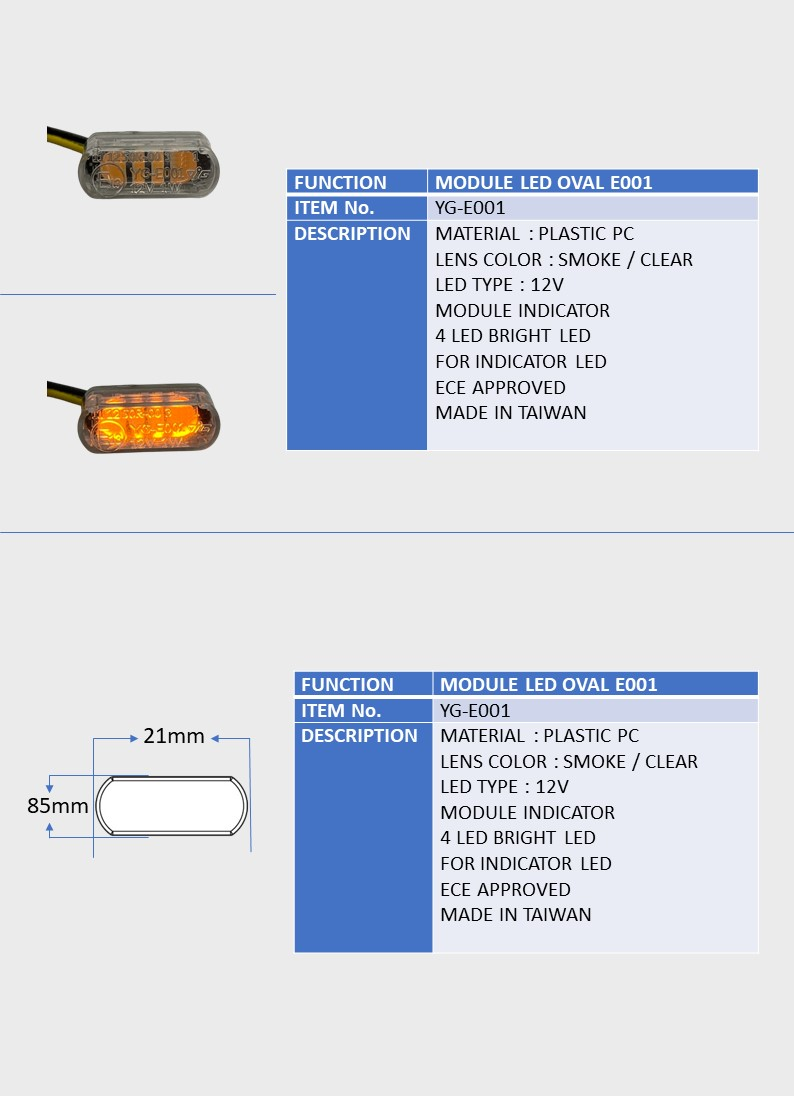 MODULE LED OVAL E001