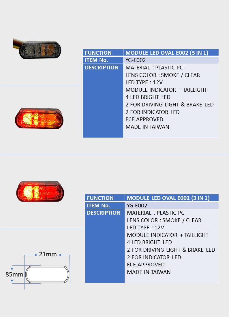 MODULE LED OVAL E002 (3 IN 1)