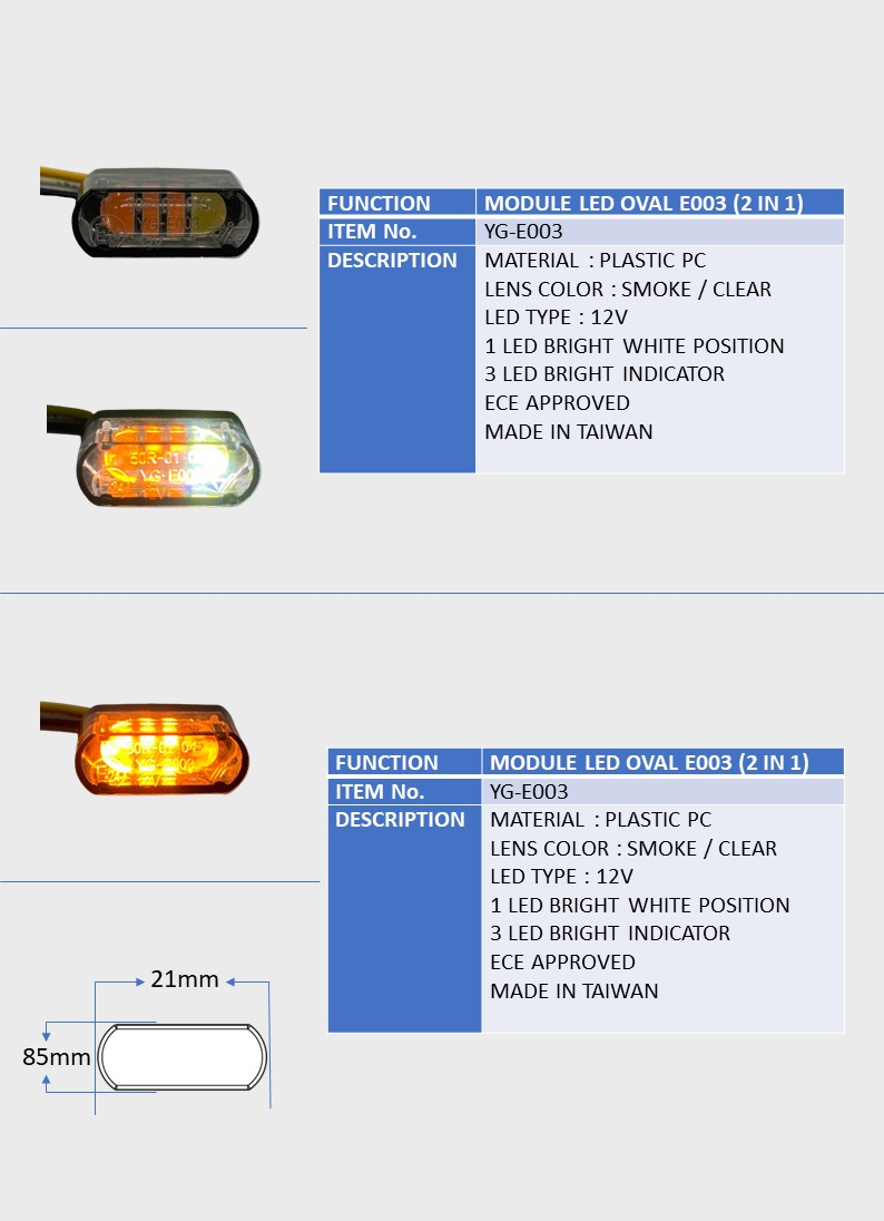 MODULE LED OVAL E003 (2 IN 1)