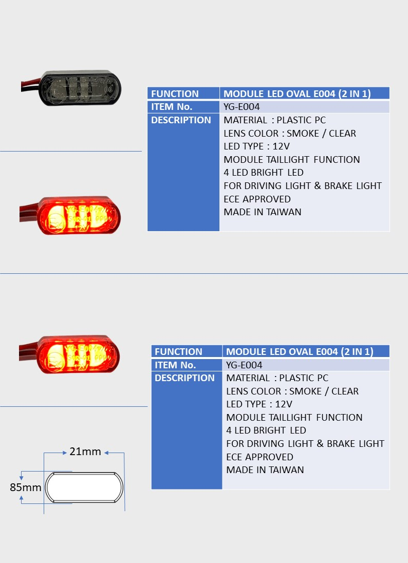 MODULE LED OVAL E004 (2 IN 1)