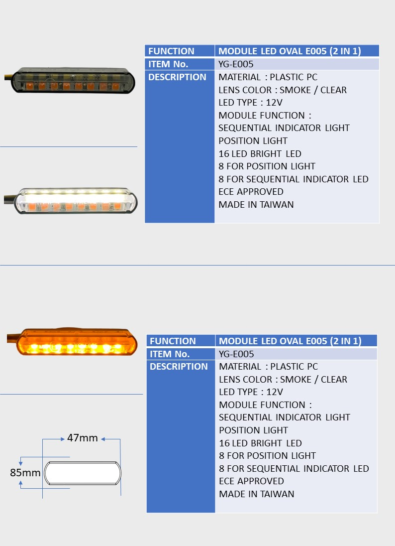 MODULE LED OVAL E005 (2 IN 1)